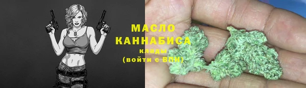 дживик Сясьстрой