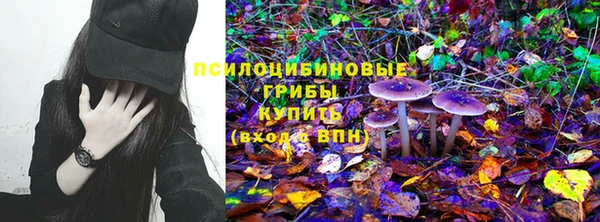 эйфоретик Беломорск