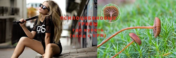 прущие крисы Тайга